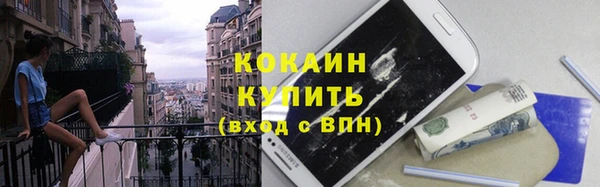 гидра Верея