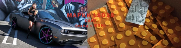 гидра Верея