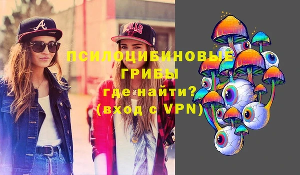 прущие грибы Волосово