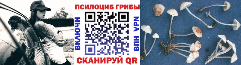 Галлюциногенные грибы Psilocybine cubensis  где продают наркотики  MEGA ONION  Орехово-Зуево 
