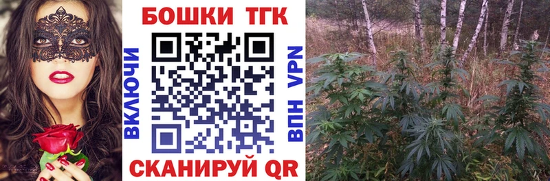Канабис гибрид  продажа наркотиков  Орехово-Зуево 
